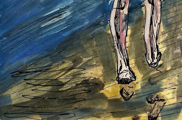 15133689_704425389724990_1362652759_o