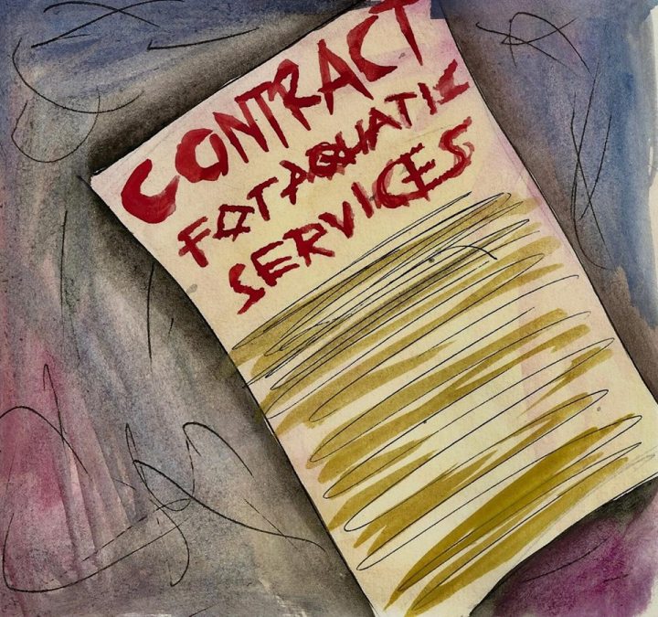 15135583_704425476391648_1442670959_n